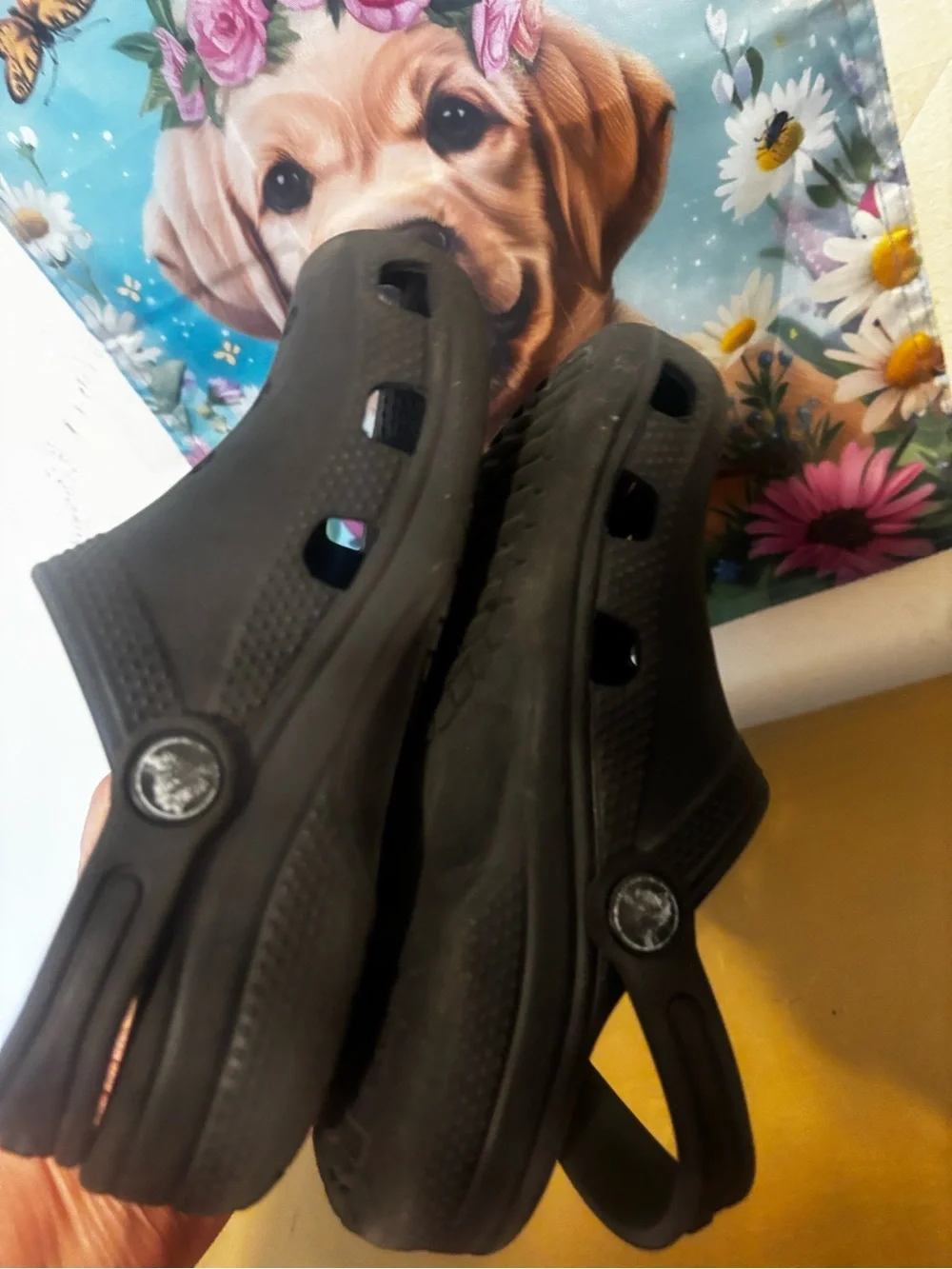 CROCS Kids Black Classic Clogs